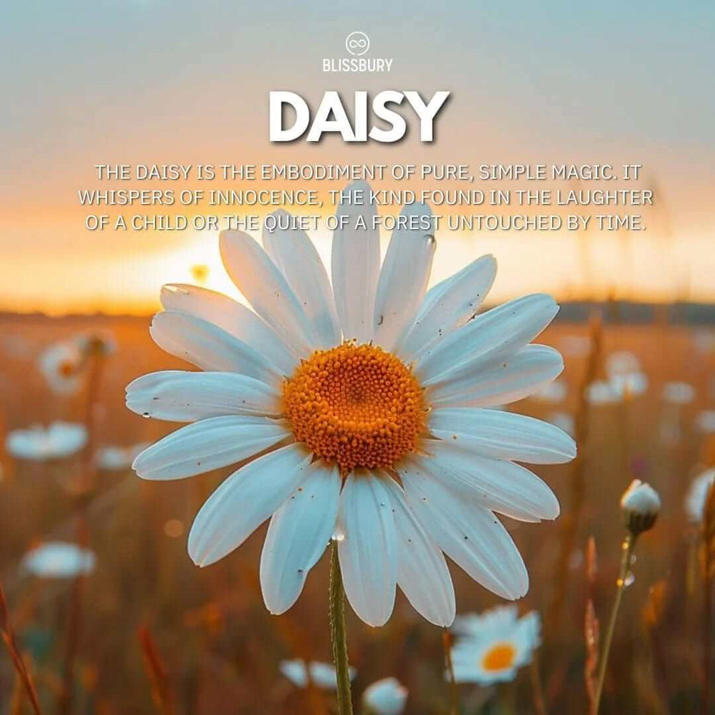 Blooming Daisy Ring - Purity, Simplicity, Loyalty - Blissbury